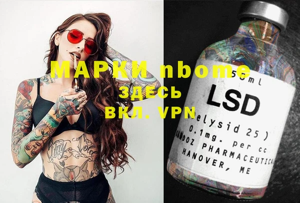 ECSTASY Чекалин