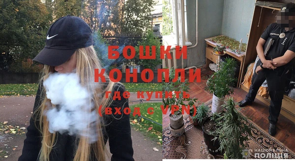 ECSTASY Чекалин