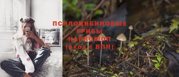 apvp Чердынь