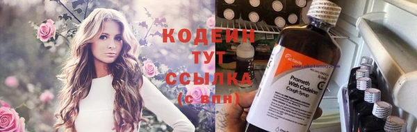 apvp Чердынь