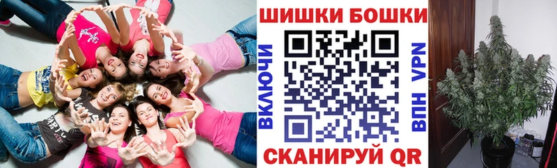 наркота  Нахабино  Бошки марихуана ГИДРОПОН 